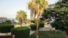 Египет Шарм-эль-Шейх ОТЕЛЬ SEA MAGIC RESORT 