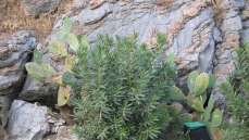 Турция ОТЕЛЬ Turunc Hotel